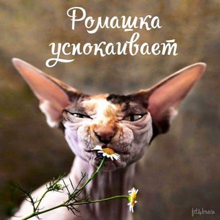 Литературный детокс