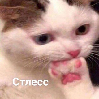 Та самая официантка