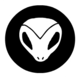 Lizard Animation