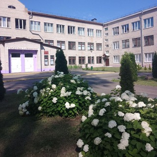 Житковичский колледж
