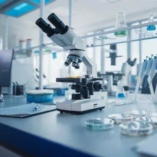 عـدسـة شفـــــاا۽ 🔬… 🇵🇸