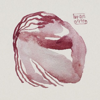 lunamontem