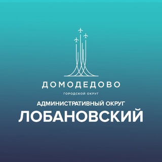 Лобановский административный округ