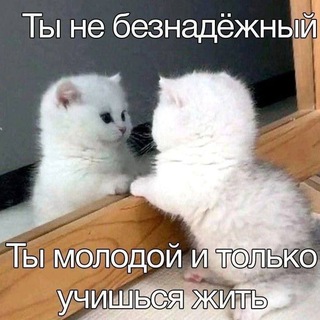 Аватар канала 🪭 Логово Фэй 18+ 🪭 @logovo_feifei