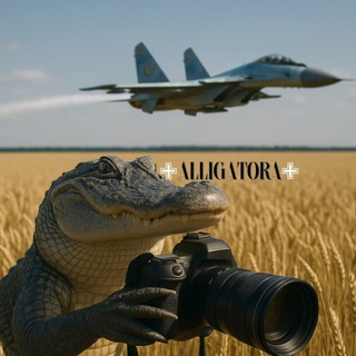 Логово Alligatora✙