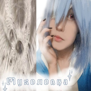 💥мyxoлovka💠