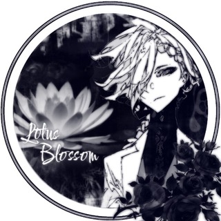 《 Lotus Blossom • BSD - сетка • БСД сетка 》