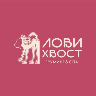 🩷груминг&спа «Лови хвост»