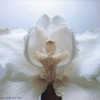 LUV IT. ВАЖНОЕ