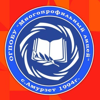 ОГПОБУ "Многопрофильный лицей" с. Амурзет.