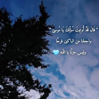 السيرة النبوية والقران الكريم 🥹🌺
