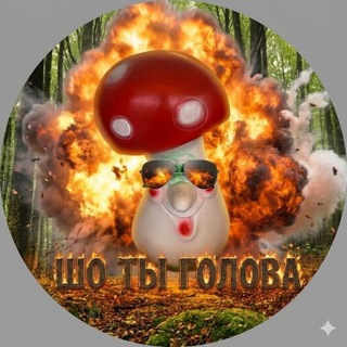СИДУЛИНАС | mainpley