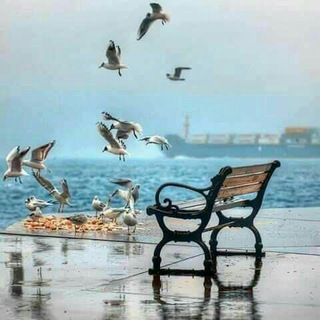 أنا هنا💝