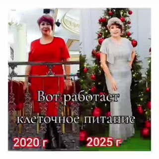 Чат по здоровью по клеточному питанию и фито препаратам от компании Success Together ❤️