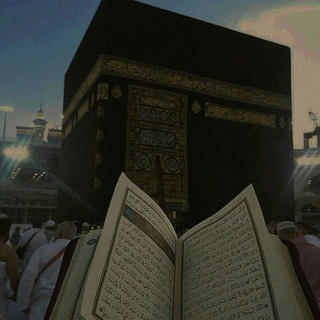 ༺ مَلاذُ التَّائِهِينَ ༻
