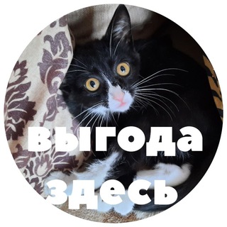Марина про личные финансы