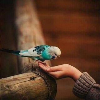 قلبي اطمأن😴✨