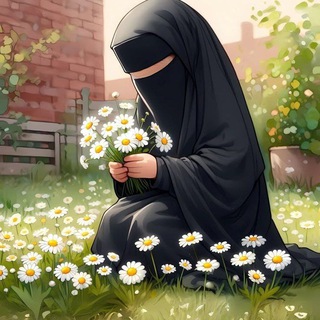 أقـحوانَة🌼🤍