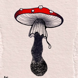 Grib🍄Sketchs