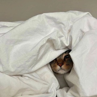 Машкен в одеялке 🌚