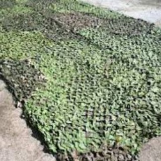 МАСКСЕТИ СПАНБОНД МАСК СЕТИ