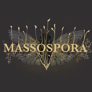 ⛧ MASSOSPORA ⛧