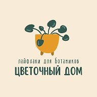 🪴 Цветочный дом • Комнатные растения