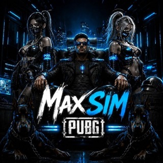 MaxSIM PUBG