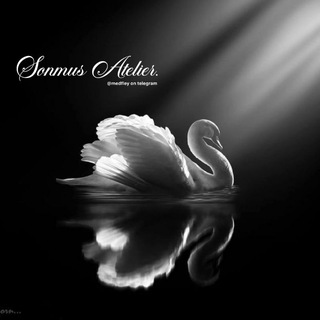 SONMUS ATELIER.