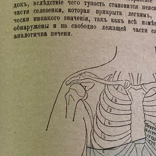 Медицинские науки - школа Зерновой Г.В.