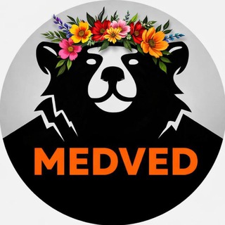 Медведь | Пельмени
