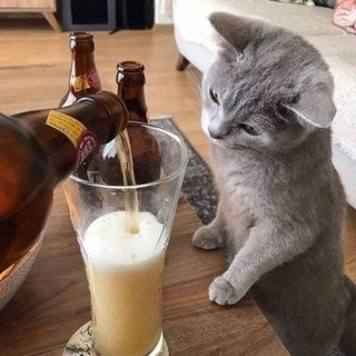 МЕМОРИЗАЦИЯ