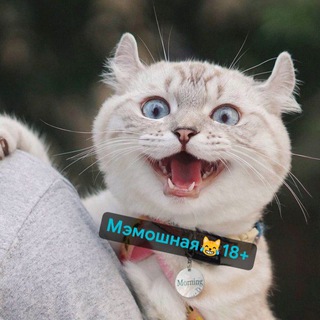 ꧁М϶ʍᴏɯнᴀя꧂