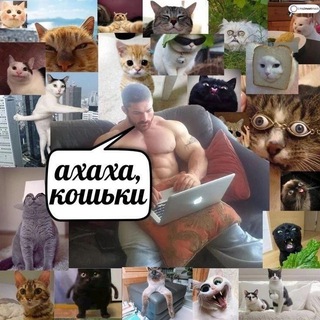 Мемовое хранилище