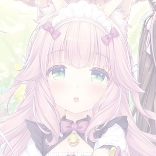 ~ かわいい子猫 🎀