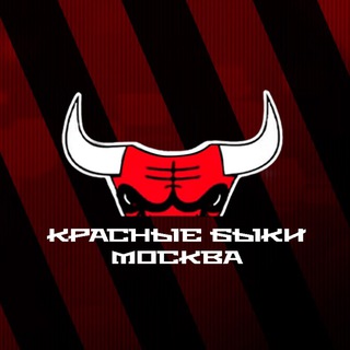 БЫКИ LIVE 🔴