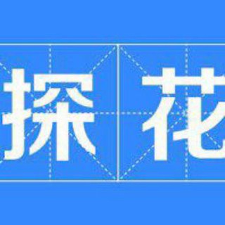 魔都探花 总入口