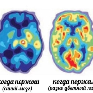 Мемы на развес💩