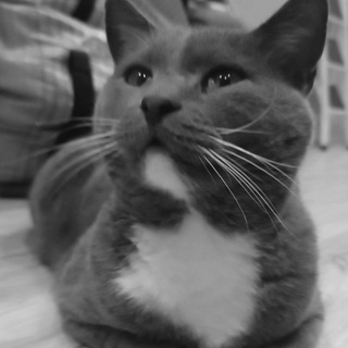 𝓱𝓮𝓻 𝓭𝓻𝓮𝓪𝓶 .𖥔 ݁ ˖ ʍяуᴋᴏᴧᴋᴀ