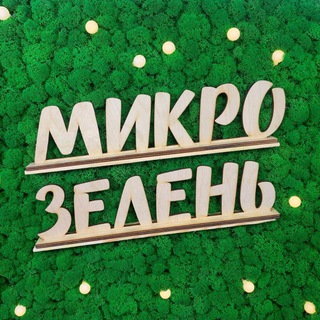 Ситиферма "Зеленый Бор". Микрозелень. Тверь