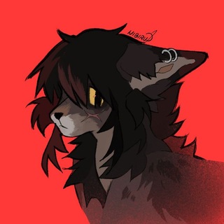 ➴︎ ℕ𝕚𝕓𝕚ℝ𝕦 ツ