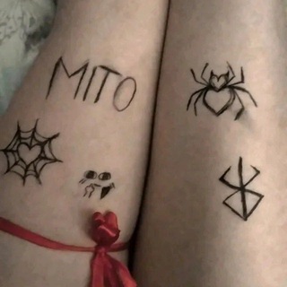 Конфа MITO