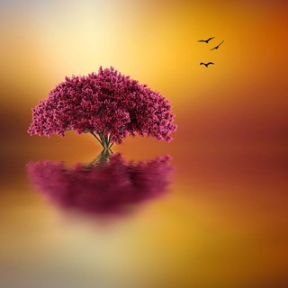 💗سوالف دافيه 💗