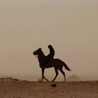 محمد