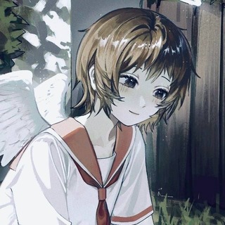 mokki