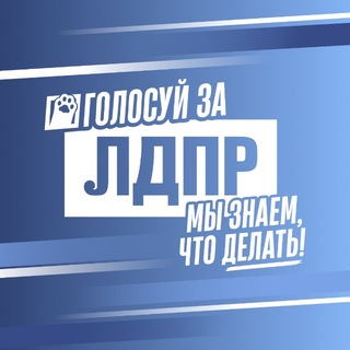 Молодежь ЛДПР | Петербург