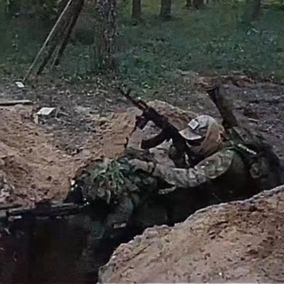 Молодость в лесах
