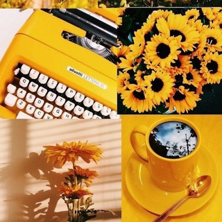 مميز بالأصفر 💛🌼