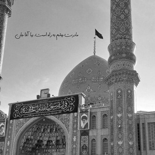 ملازمان ظهور 🇵🇸