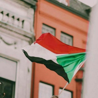 ملامح وطن 😻